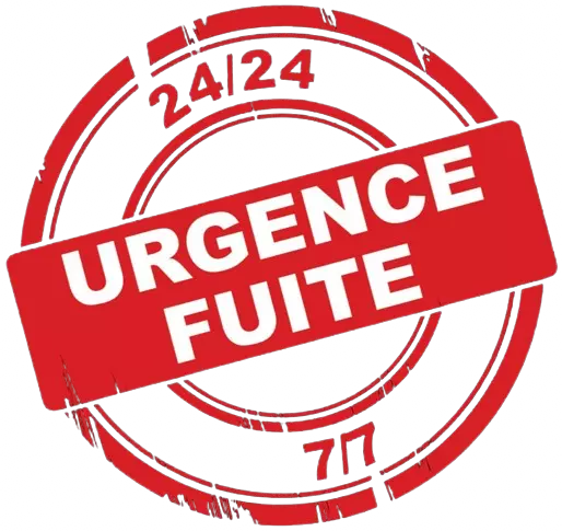 Urgence fuite toiture IDF