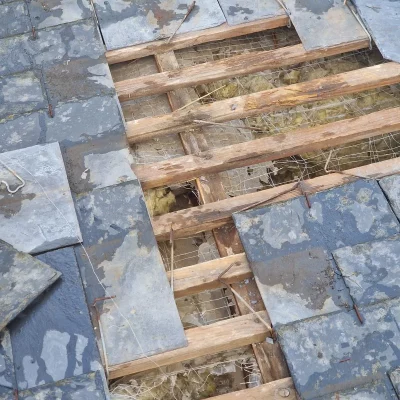 Pro Toiture IDF détection fuite toiture